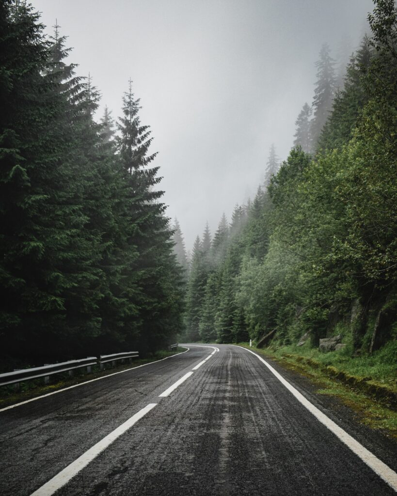 Winding road with white markings leading through dense spruce forest under misty sky wallpaper