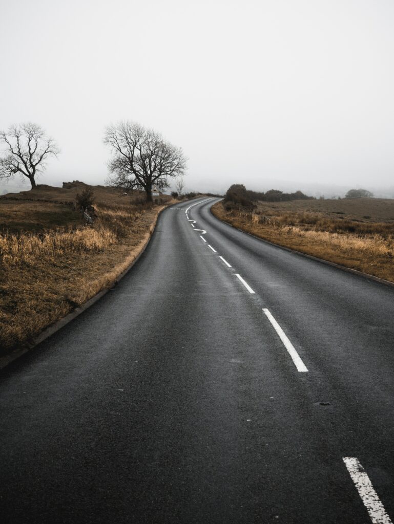 Misty rural landscape with winding road lined by leafless trees and yellow grass wallpaper background
