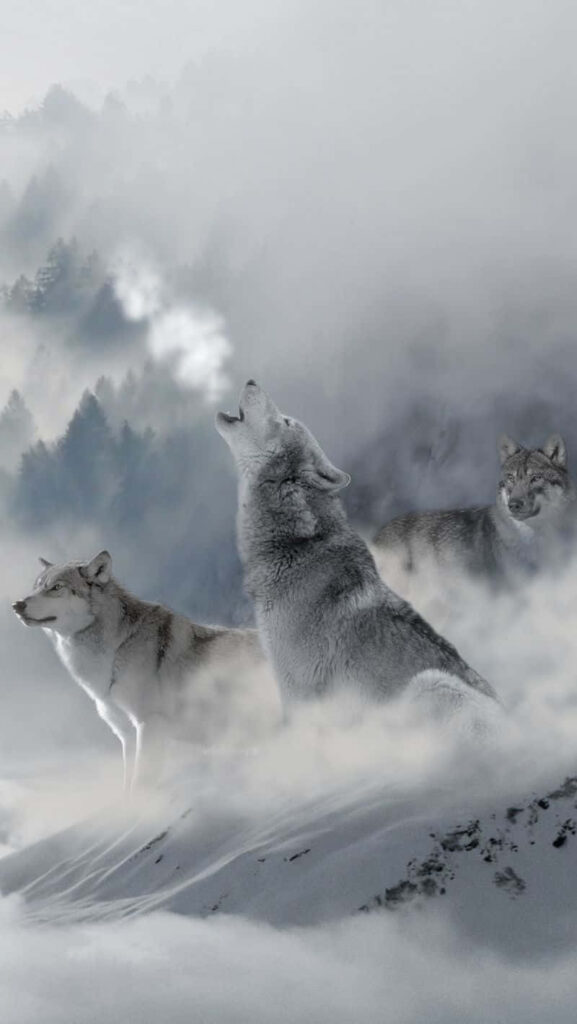 “Misty Wolf Landscape Wallpaper for iPhone: Haunting Beauty”