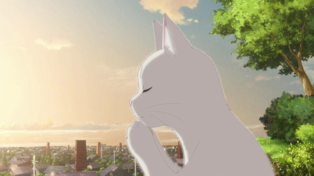 Miyo as Taro white cat sitting under tree sunset town view A Whisker Away wallpaper background