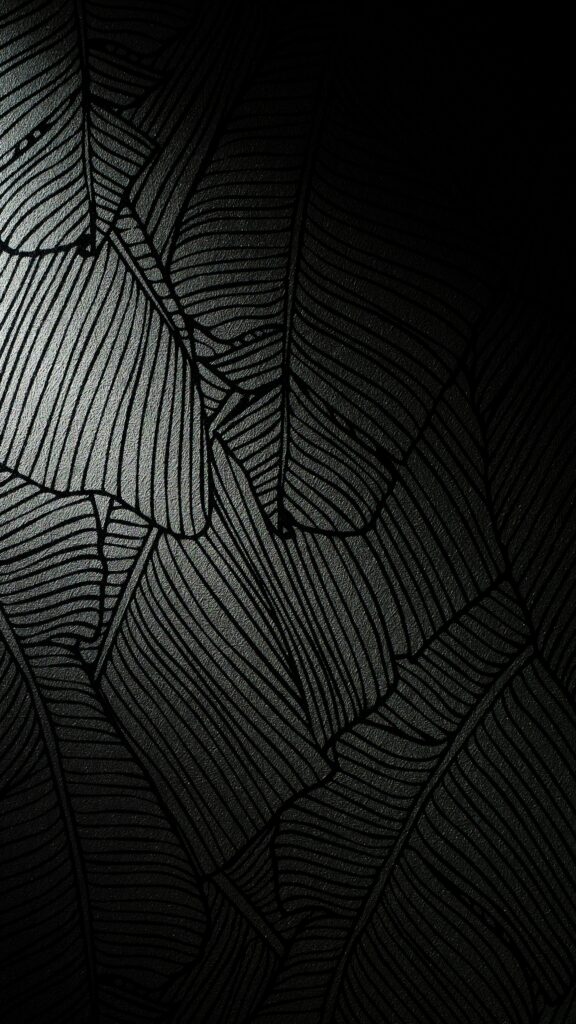 Sleek Black Wallpaper with Abstract Leaf-Like Textured Stripes