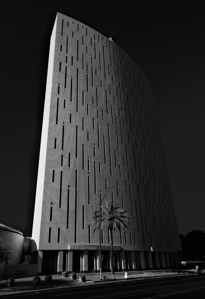 Modern Black and White Architectural Wallpaper with Palm Tree Background