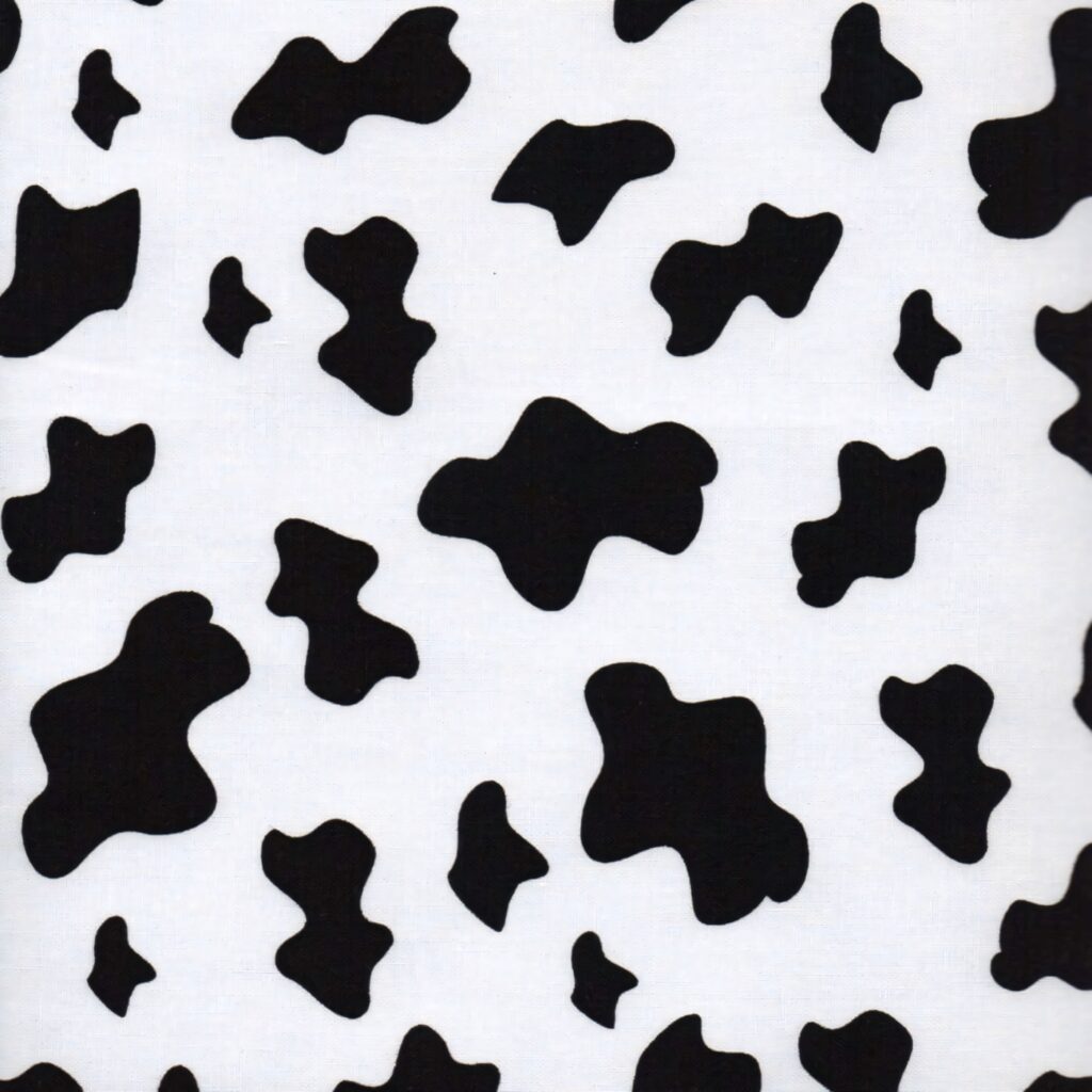Cow print wallpaper with irregular black splotches on white modern farmhouse pattern background