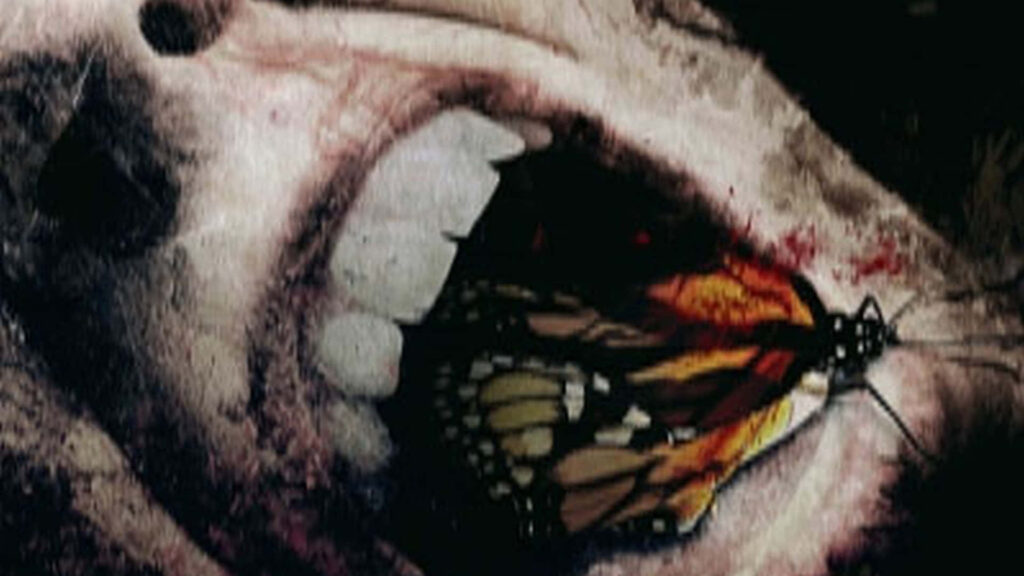 Monarch Butterfly on Skull: Artful Blend of Life & Decay Wallpaper