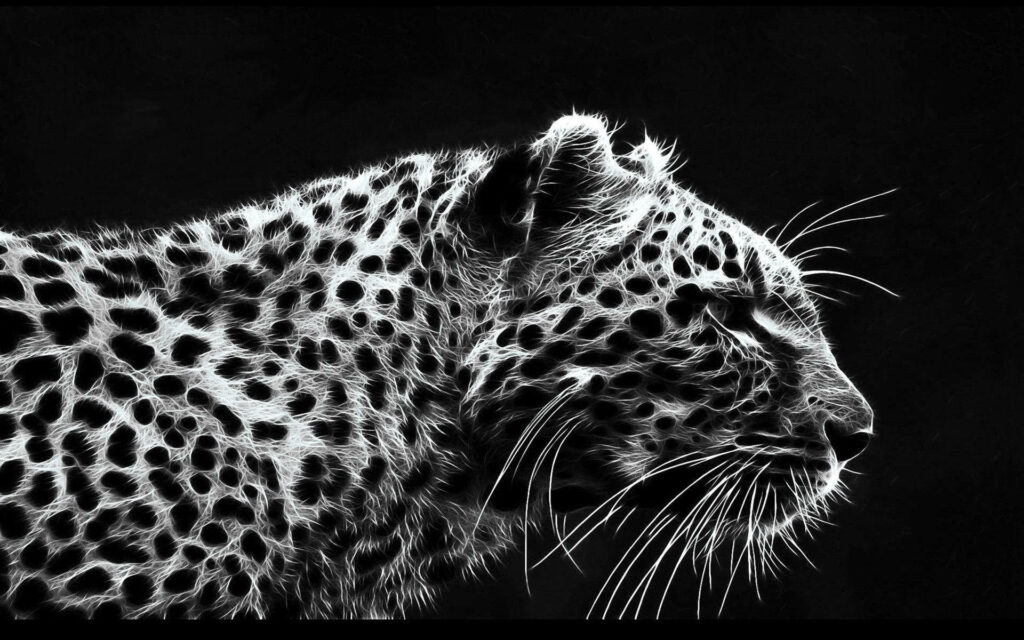 Elegance in Monochrome: Majestic African Leopard Captured in HD Desktop Wallpaper