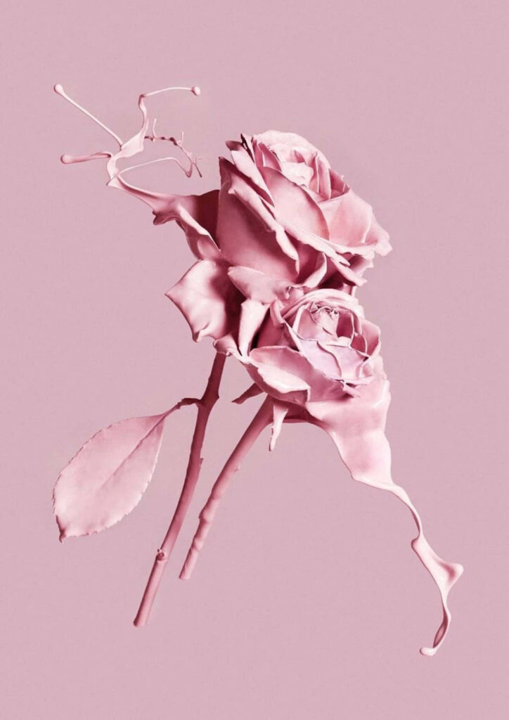 Monochromatic Pink Wallpaper with Intricate Rose Art Design