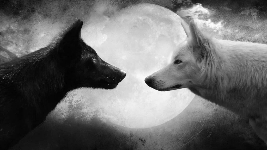 Monochrome Wolf Wallpaper: Black & White Wolves Under Full Moon