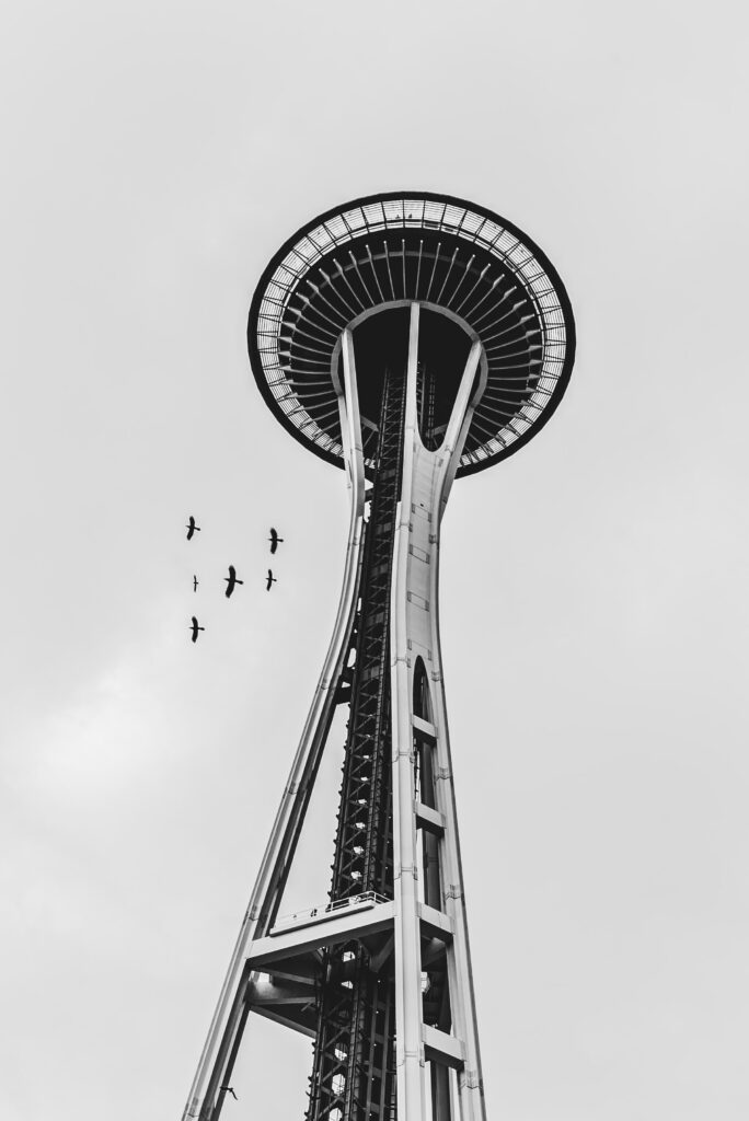 Architectural Black and White Wallpaper of Tower with Birds