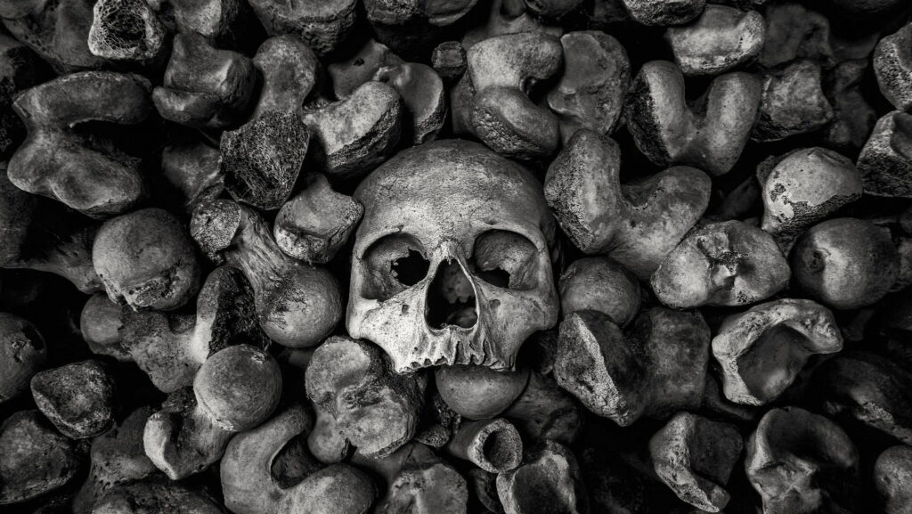 Monochrome Skulls: Full Frame Backgrounds for Unique Wallpaper Photos