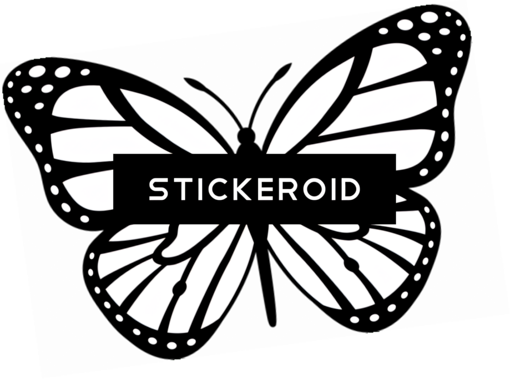 Elegant Monochrome Butterfly Wallpaper Design - Black and White Patterns