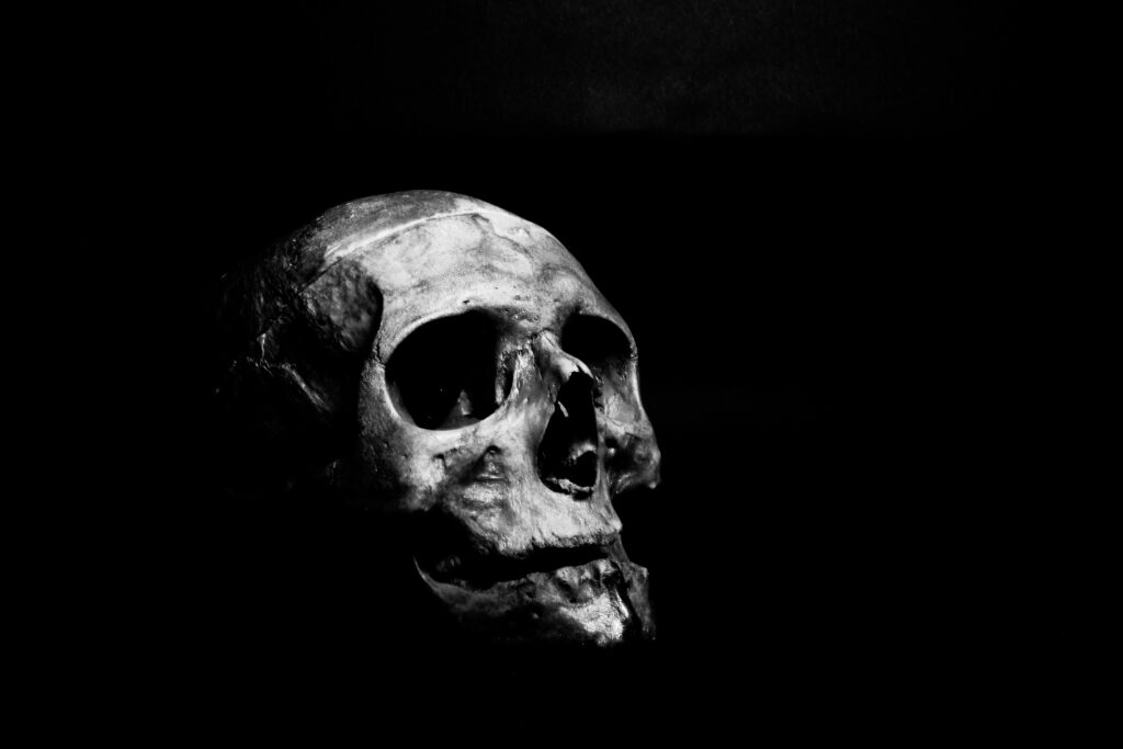 Monochrome Majesty: A 4K Grayscale Wallpaper of Human Skull