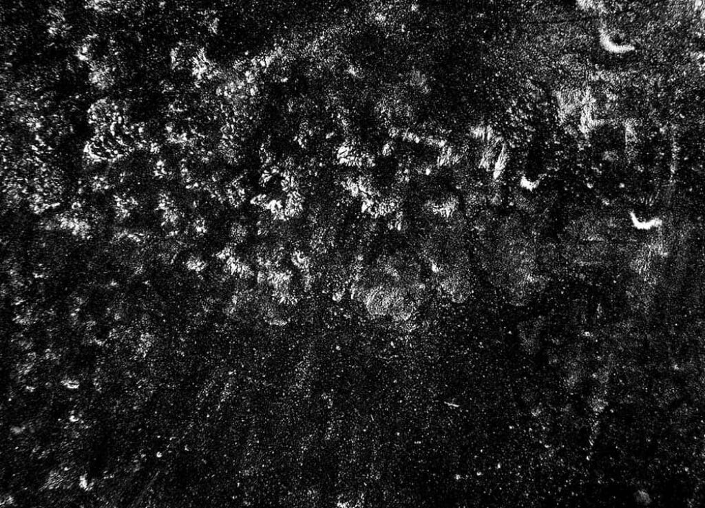 Gritty Monochrome Wallpaper: Intricate Textured Spores Effect