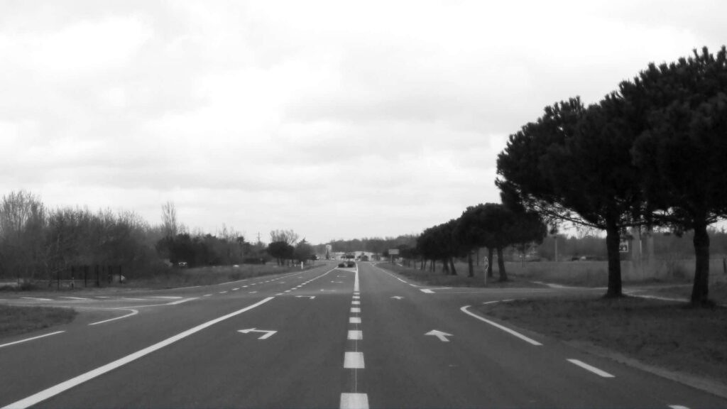 Minimalist Monochrome Wallpaper: Empty Road, Leafless Trees, Calm Sky
