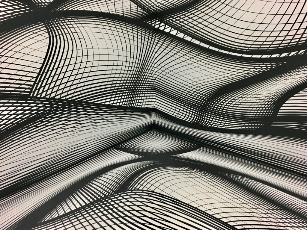 Dynamic Monochrome Wallpaper: Wavy Lines & Abstract Plexus Design