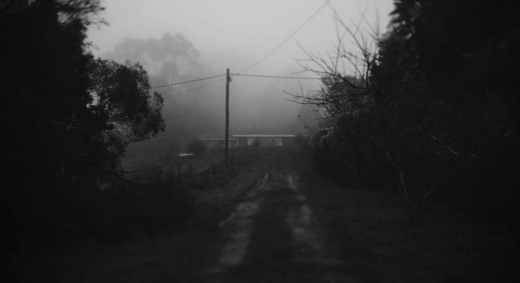 Foggy rural landscape with dirt path leading to house framed by silhouetted trees and pole Wallpaper