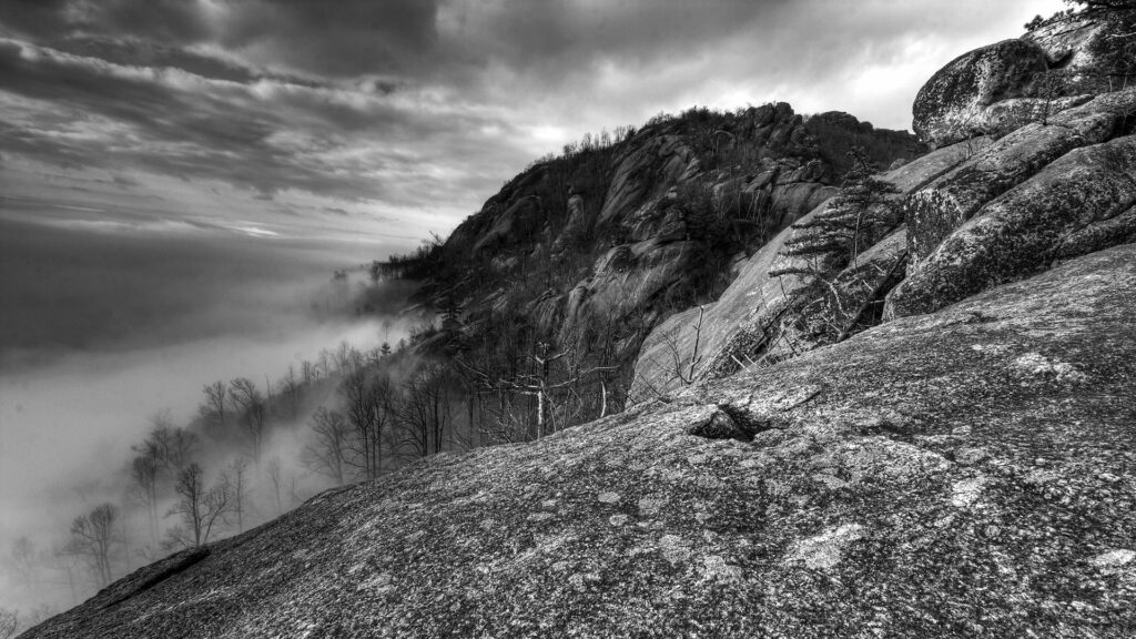 Black and white mountain rocks and leafless trees in dense fog dramatic moody landscape wallpaper