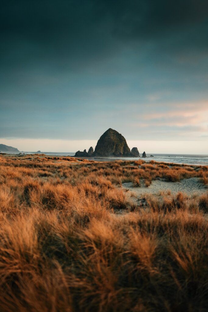 Rugged coastal rock formation with golden grass under moody sky dramatic natural landscape wallpaper