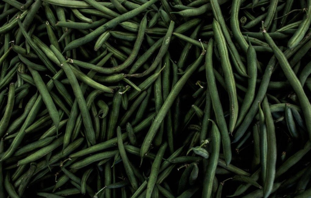 Close-up of fresh green beans with deep green tones and moody dramatic lighting texture wallpaper