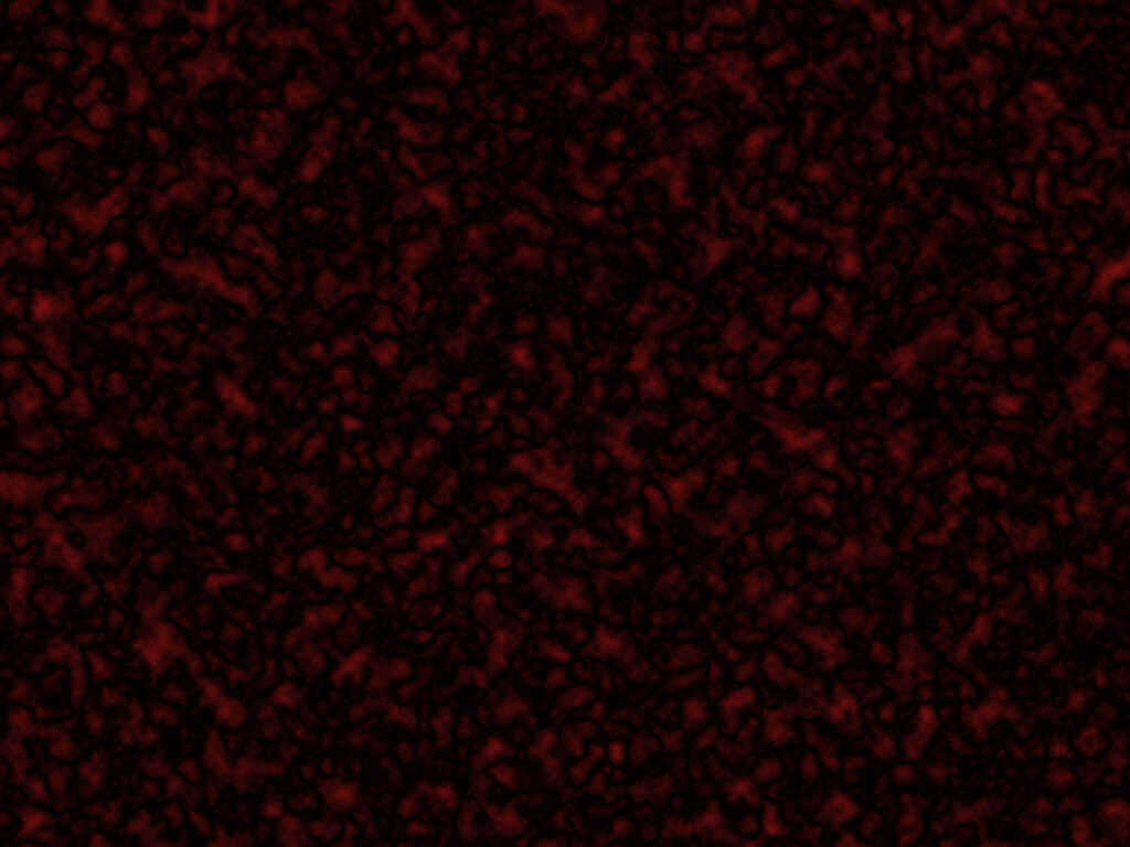 Moody Dark Textured Wallpaper: Deep Red & Black Patterns