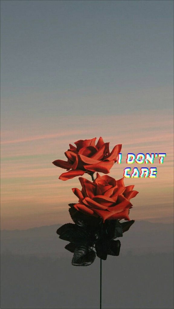 Two red roses with glitch text I Don't Care against soft hazy sunset indie aesthetic wallpaper