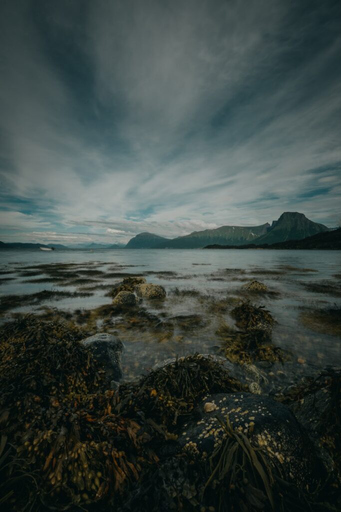 Tranquil lakeside with rugged mountains cloudy sky rocky shoreline and seaweed natural landscape Wallpaper