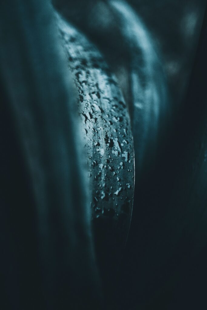 Moody Macro Water Droplets on Dark Surface - Refreshing Wallpaper