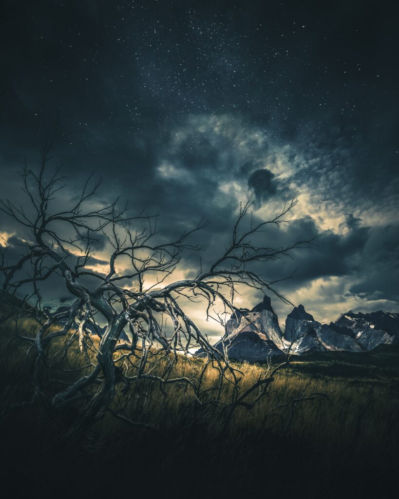 Dramatic wallpaper of rugged mountains starry sky twisted tree wild grass moody blue green gold tones