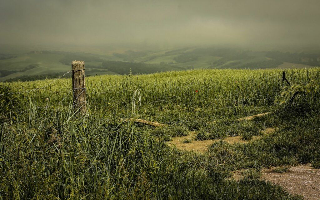 Moody night rural landscape with wooden fence lush green field and clouded sky wallpaper background