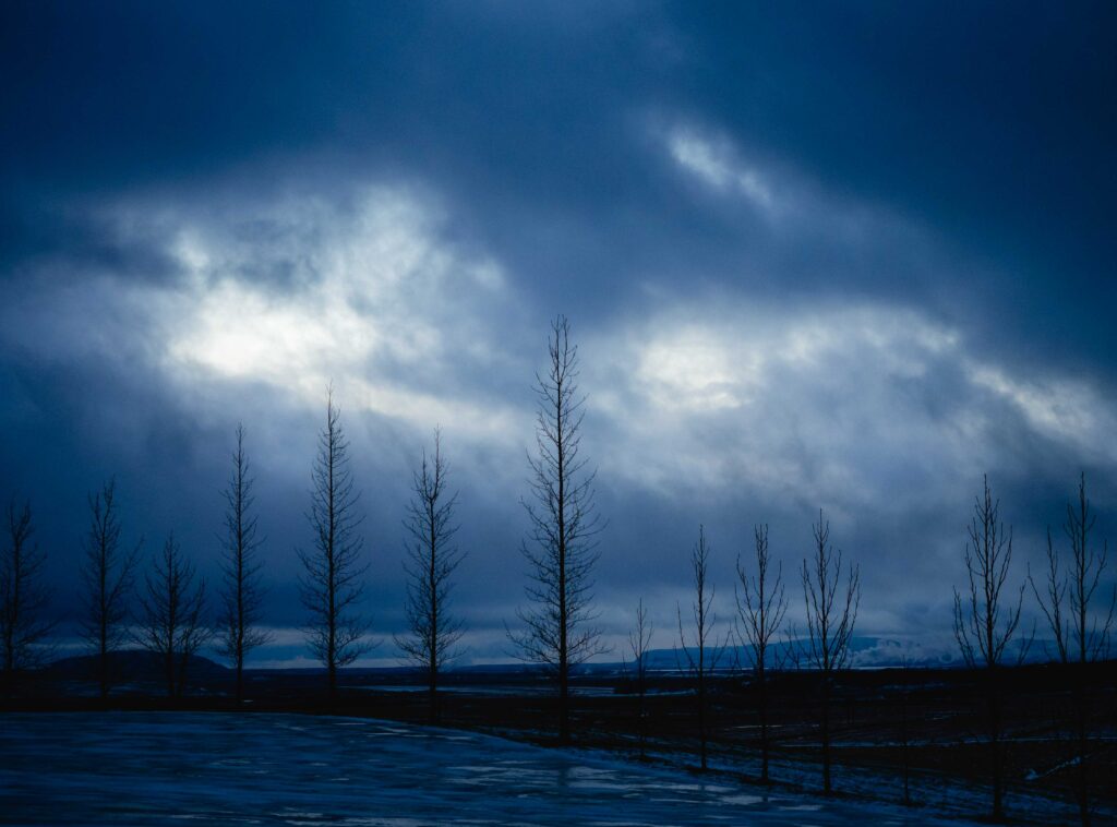 Tall leafless trees silhouetted against a dramatic deep blue night sky with clouds wallpaper