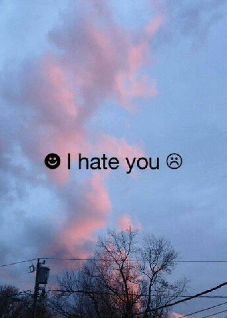 Moody sky with pink clouds dark tree branches power lines text I hate you lo-fi phone wallpaper