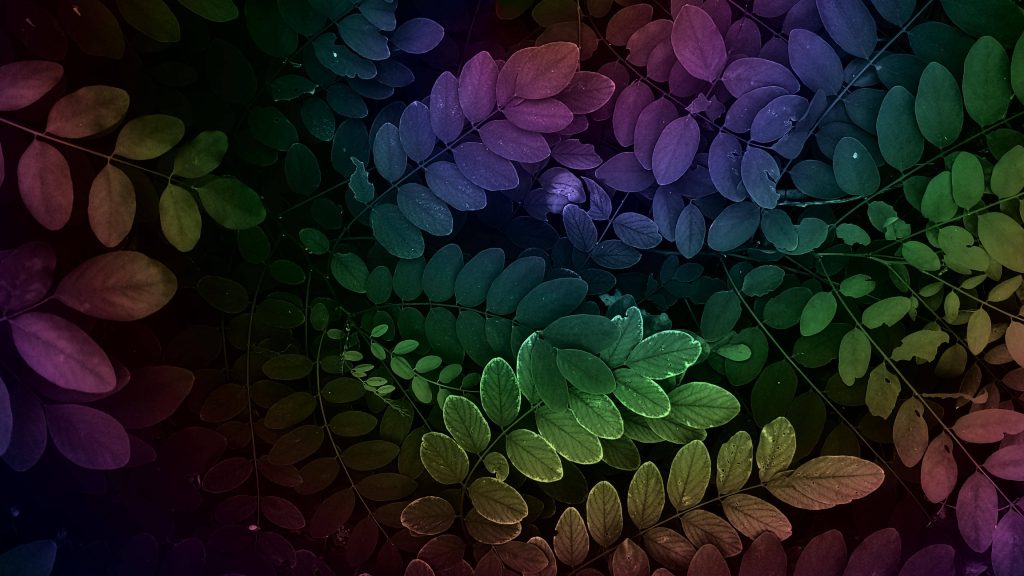 Moody nature wallpaper with lush compound leaves in vibrant rainbow gradient background