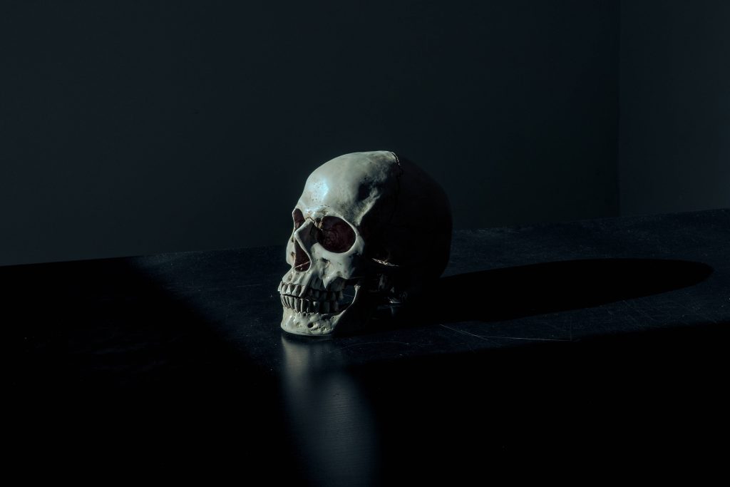 Realistic human skull on dark surface with dramatic shadow and moody side lighting wallpaper