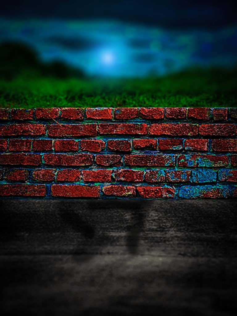 Textured red brick wall with blue highlights green foliage and dark paved foreground background Wallpaper
