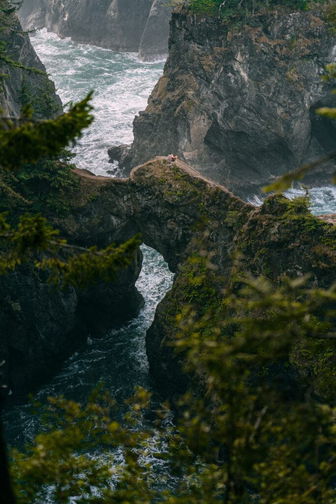Rushing river winding through rocky gorge framed by trees with towering cliffs and green mountains Wallpaper