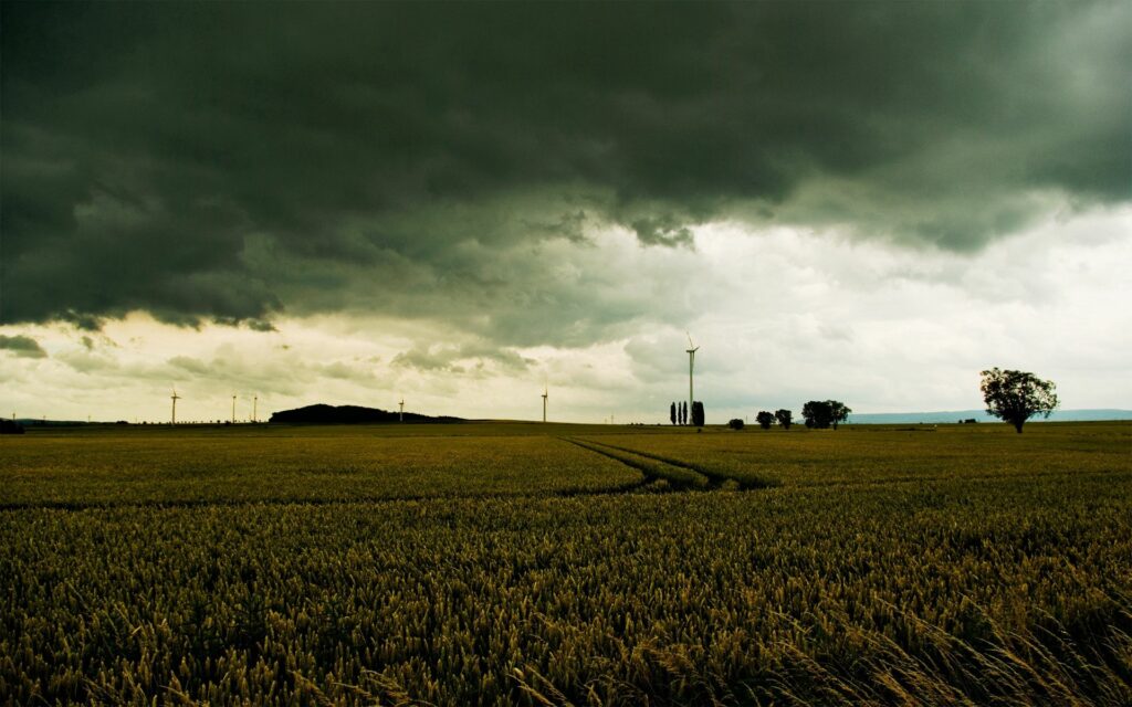 Vast rural field under stormy gray clouds with distant wind turbines and scattered trees landscape Wallpaper