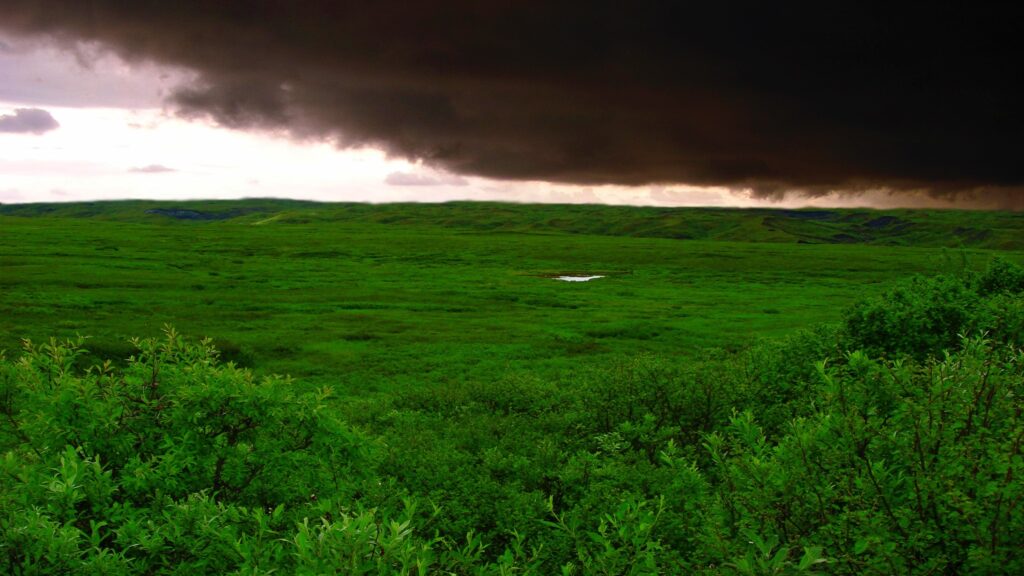 Moody stormy sky over vibrant green landscape with lush trees and bushes dramatic wallpaper