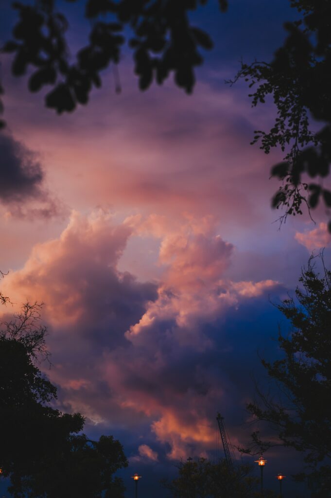 Dramatic twilight sky with deep blue purple orange clouds silhouetted trees and city lights Wallpaper