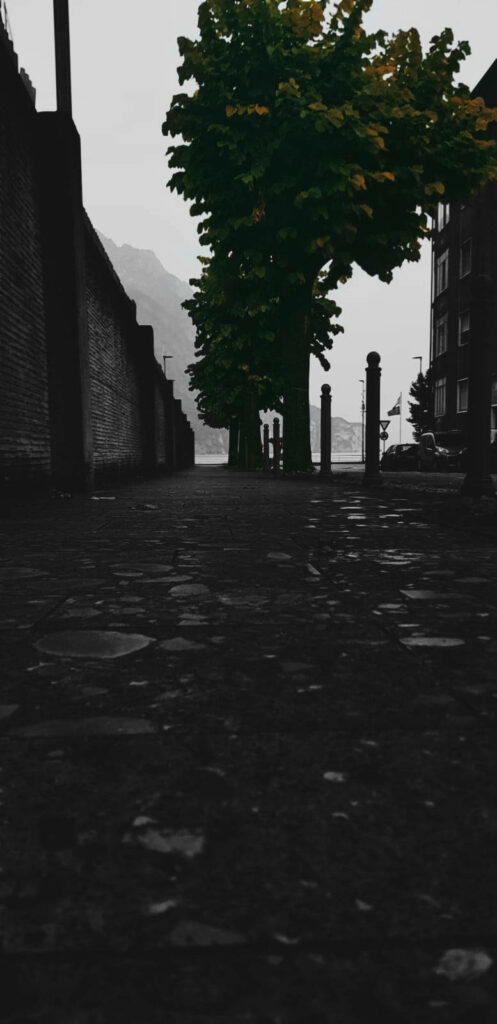 Moody Urban Wallpaper: Cobblestone Path & Solitary Tree for Galaxy