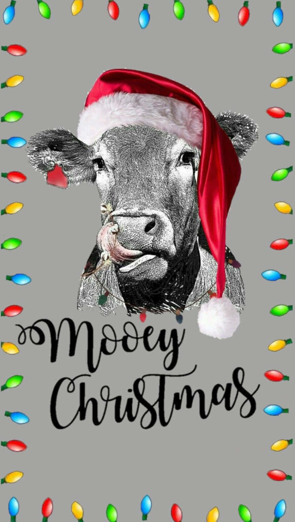 Festive Mooey Christmas Wallpaper: Cow in Santa Hat & Lights
