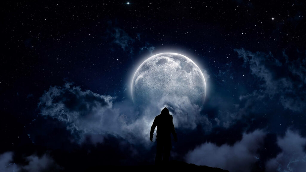 Shadowed Assassin: Moonlit Encounter Wallpaper