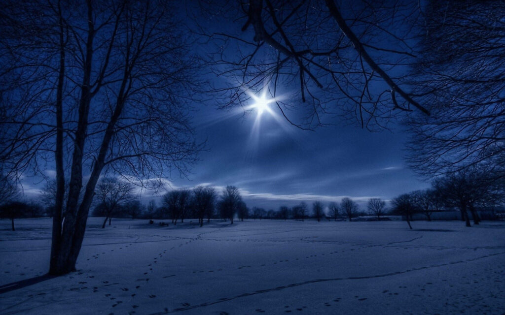 Enchanting Moonlit Winter Wonderland Wallpaper