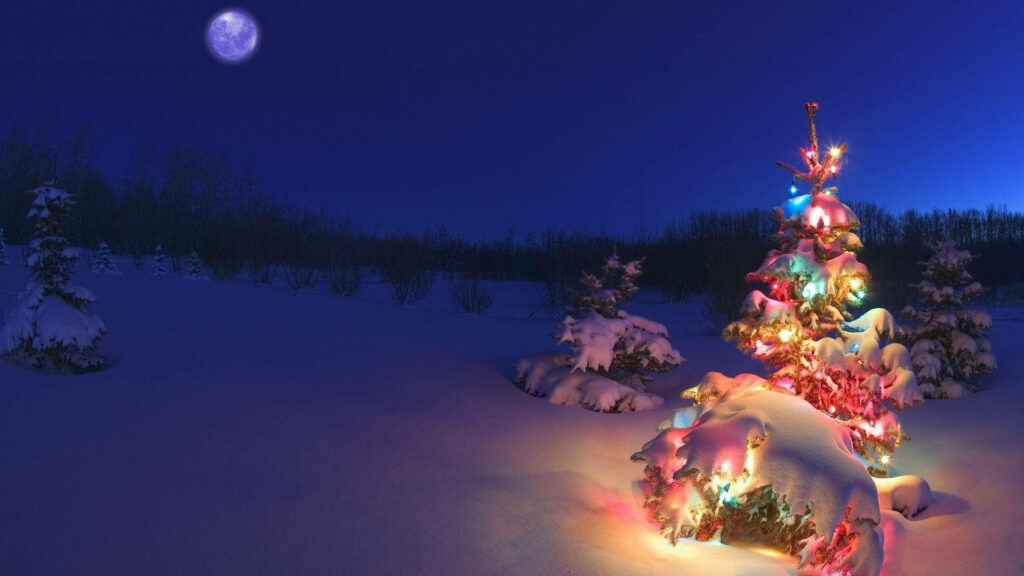 Enchanting Winter Wonderland: Moonlit Christmas Tree Shimmering in a Serene Snowy Landscape Wallpaper