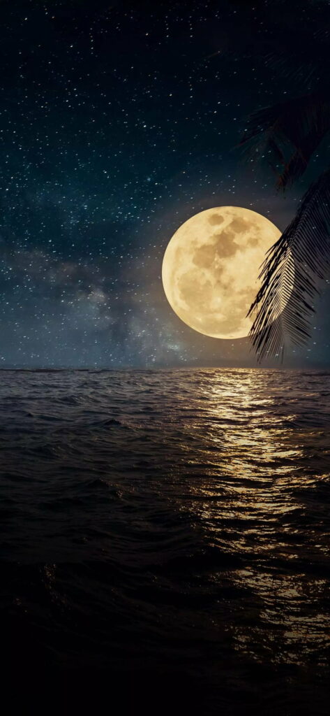 Black Moonlit Night - HD Phone Wallpaper of a Stunning Natural Seascape
