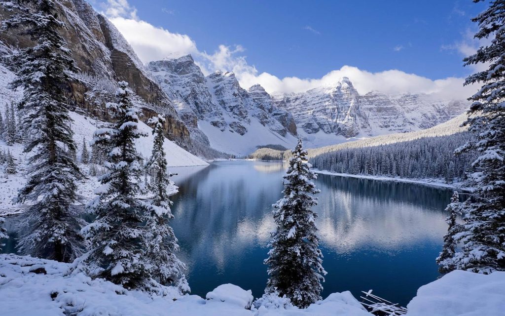 Snow-capped Moraine Lake mountains reflected in blue water framed by snowy pine trees winter wallpaper