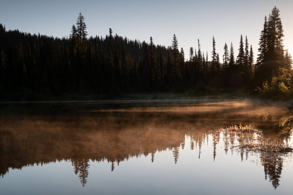 Tranquil river with morning fog and tall pine trees reflecting on calm water peaceful wallpaper