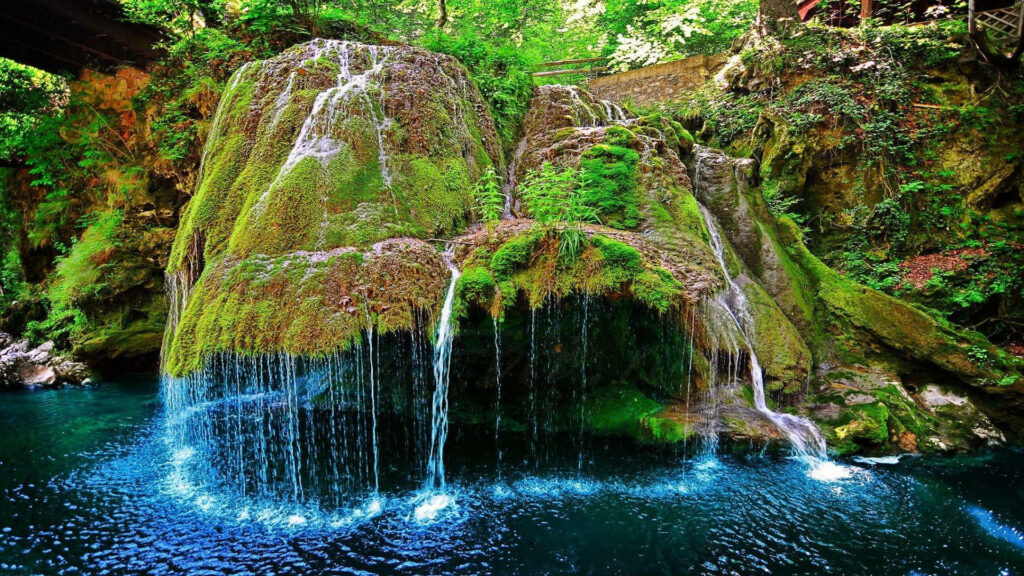 Hypnotizing Cascades: Immersive HD Background of Enchanting Moss-Covered Forest Falls Wallpaper