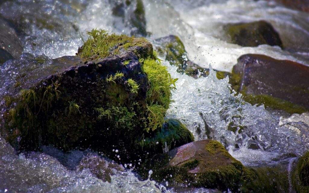 Close-up of moss-covered stone in rushing river with vibrant splashes and water droplets frozen Wallpaper