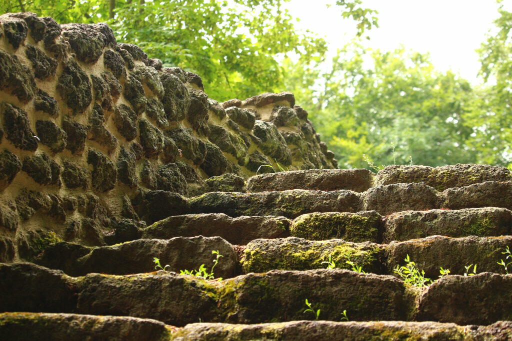 Mossy Charm: A DSLR Blur Wallpaper of a Rustic Brown Stone Staircase