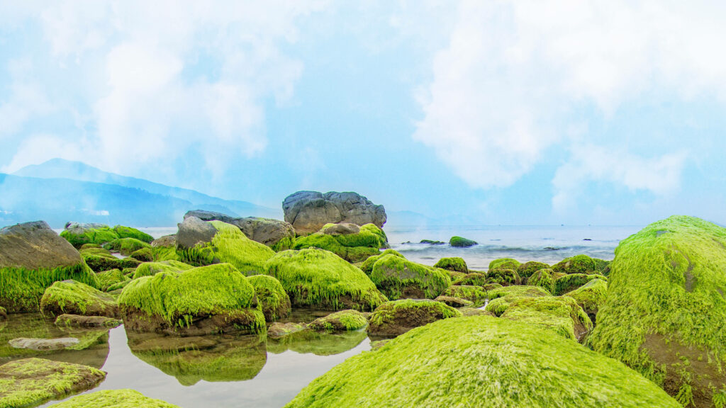 4K UHD wallpaper of mossy rocks by tranquil blue sea in Vietnam serene coastal landscape background