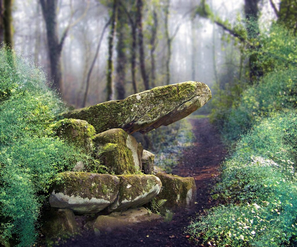 Mossy rocks and delicate ferns in an enchanted forest with soft misty light and lush greenery Wallpaper